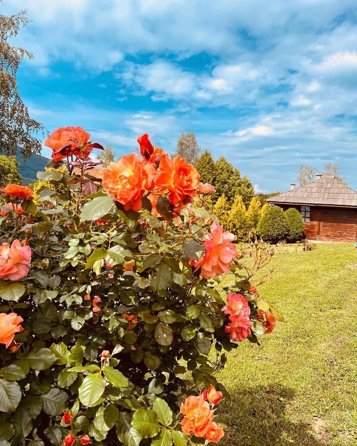 Hotel Etno Selo Vranesa Zlatar Nova Varoš Exterior foto